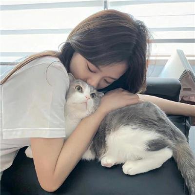 无为大师第三季